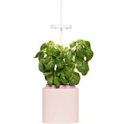 Foto: Pret a Pousser Nano Quartz Pink + Basil.Kapsel (DE-ÖKO-006)