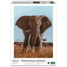Foto: Ambassador Afrikanischer Elefant 1000 Teile (Donal Boyd)