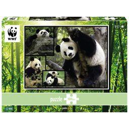 Foto: Ambassador Pandas 1000 Teile