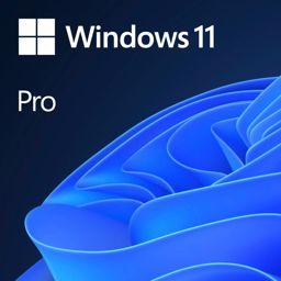 Foto: Microsoft Windows 11 Pro 64bit